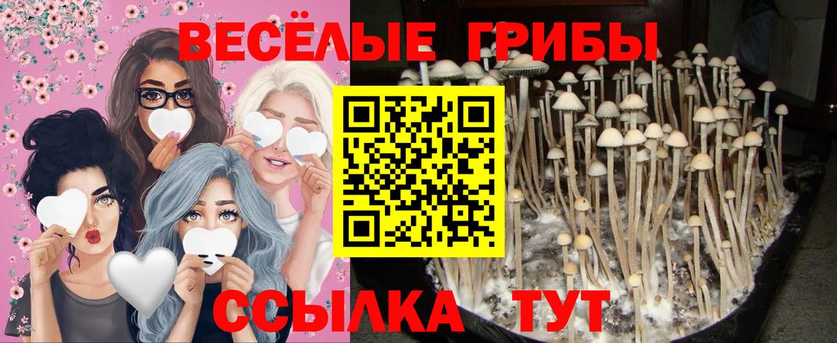 Псилоцибиновые грибы Magic Shrooms  Вход с VPN  Корсаков 
